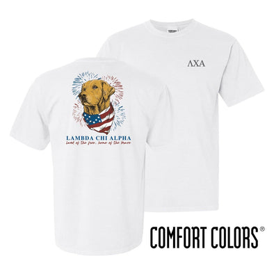 Lambda Chi Comfort Colors USA Retriever Tee | Lambda Chi Alpha | Shirts > Short sleeve t-shirts