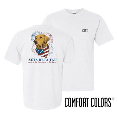ZBT Comfort Colors USA Retriever Tee | Zeta Beta Tau | Shirts > Short sleeve t-shirts