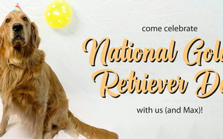 Happy-National-Golden-Retriever-Day Campus Classics