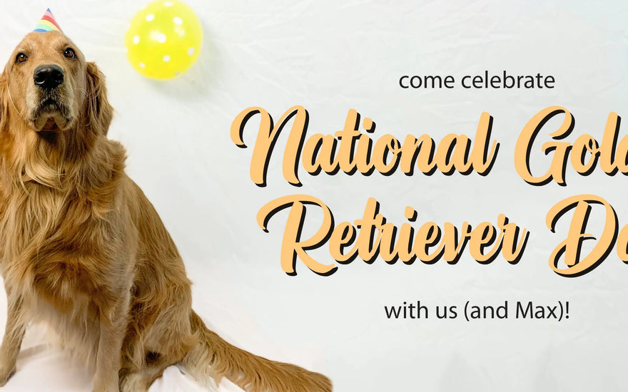 Happy-National-Golden-Retriever-Day Campus Classics