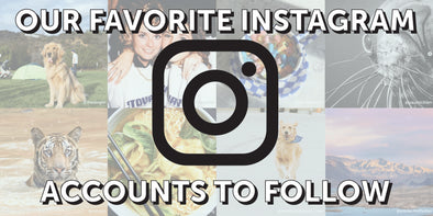 Our favorite Instagram accounts to follow