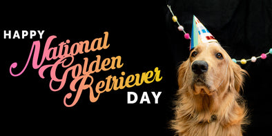 Happy National Golden Retriever Day!