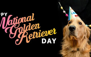 Happy-National-Golden-Retriever-Day Campus Classics