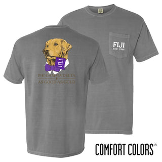 Fraternity Comfort Colors Retriever Flag Tee Campus Classics