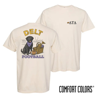 Delt fraternity t-shirt featuring a black lab in a football stadium