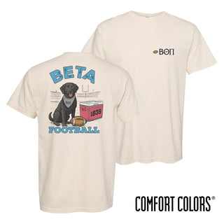 Beta fraternity t-shirt featuring a black lab in a football stadium