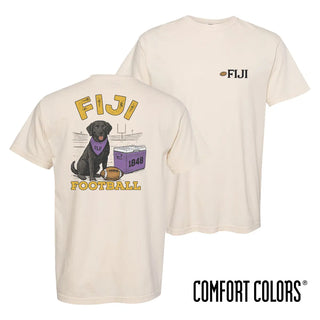 FIJI fraternity t-shirt featuring a black lab in a football stadium
