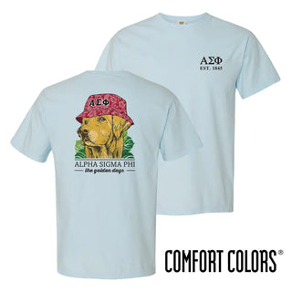 New! Alpha Sig Bucket Hat Retriever Tee Alpha Sigma Phi