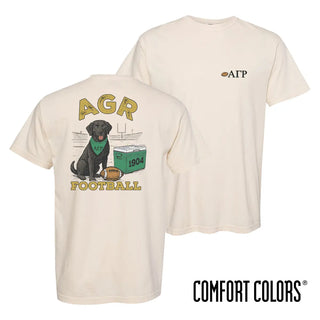 AGR fraternity t-shirt featuring a black lab in a football stadium
