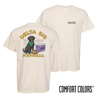 Delta Sig fraternity t-shirt featuring a black lab in a football stadium