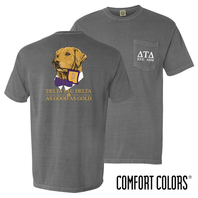 Delt Comfort Colors Retriever Flag Tee | Delta Tau Delta | Shirts > Short sleeve t-shirts