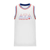 Delt Retro Block Basketball Jersey | Delta Tau Delta | Shirts > Jerseys