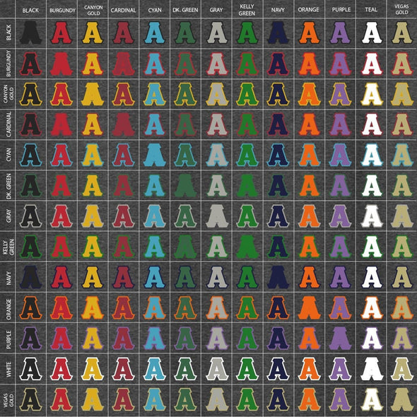 AEPi Pick Your Own Colors Sewn On Hoodie | Alpha Epsilon Pi | Sweatshirts > Hooded sweatshirts