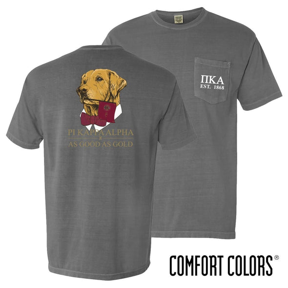 Pike Comfort Colors Retriever Flag Tee | Pi Kappa Alpha | Shirts > Short sleeve t-shirts