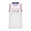Sig Tau Retro Block Basketball Jersey | Sigma Tau Gamma | Shirts > Jerseys