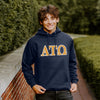 Alpha Tau Omega Navy Hoodie with Sewn On Letters