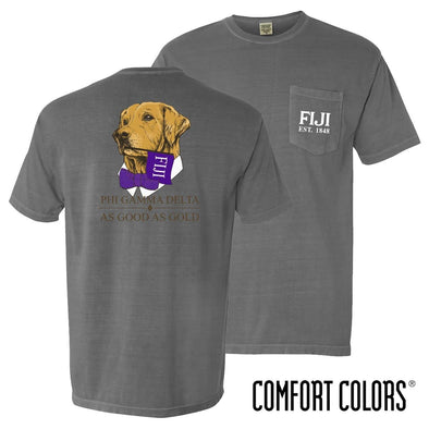 FIJI Comfort Colors Retriever Flag Tee | Phi Gamma Delta | Shirts > Short sleeve t-shirts