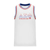 Delta Sig Retro Block Basketball Jersey | Delta Sigma Phi | Shirts > Jerseys